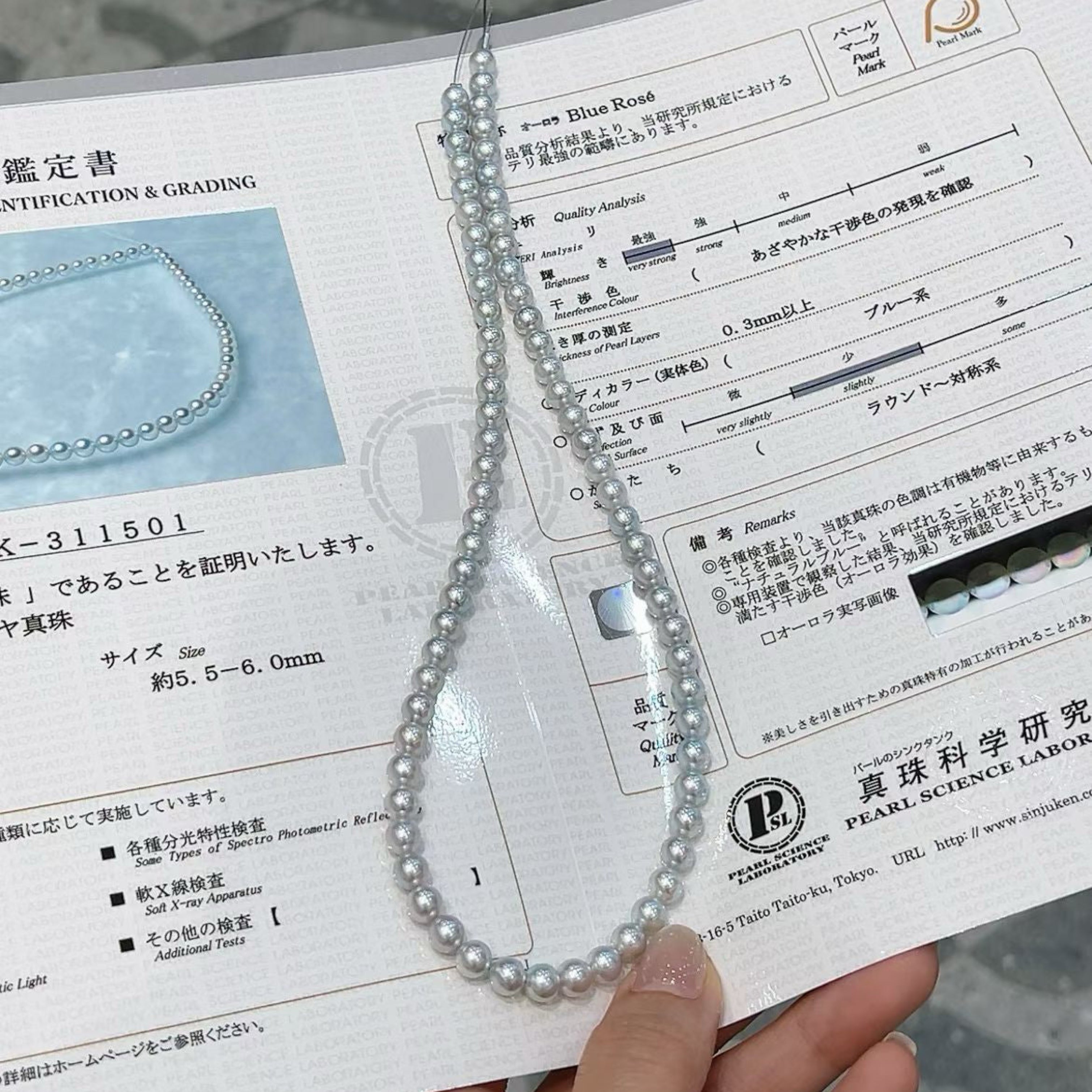 Blue Rose Grade Aurora Gray Akoya Pearl Necklace 5.5-6mm Natural Color Mermaid Pearl Iridescent Shine Slight Tiny Blemishes With Pearl Science Laboratory Certificate